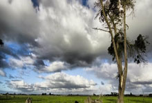 赛后上海久事备战英超，单刀错失细节曝光，气氛紧张，资深球员宣示担当的简单介绍